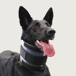 COLAR CERVICAL para Cachorro DO TAMANHO  00 AO NUMERO 08