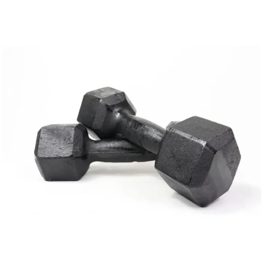 Par Halter Sextavado Pintado P/Musculação 2Kg cada