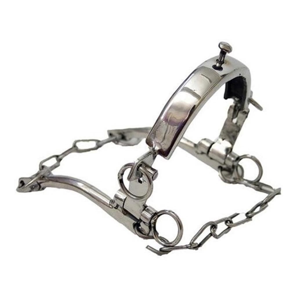 Freio professora de doma para cavalo breque vaquejada Super oferta