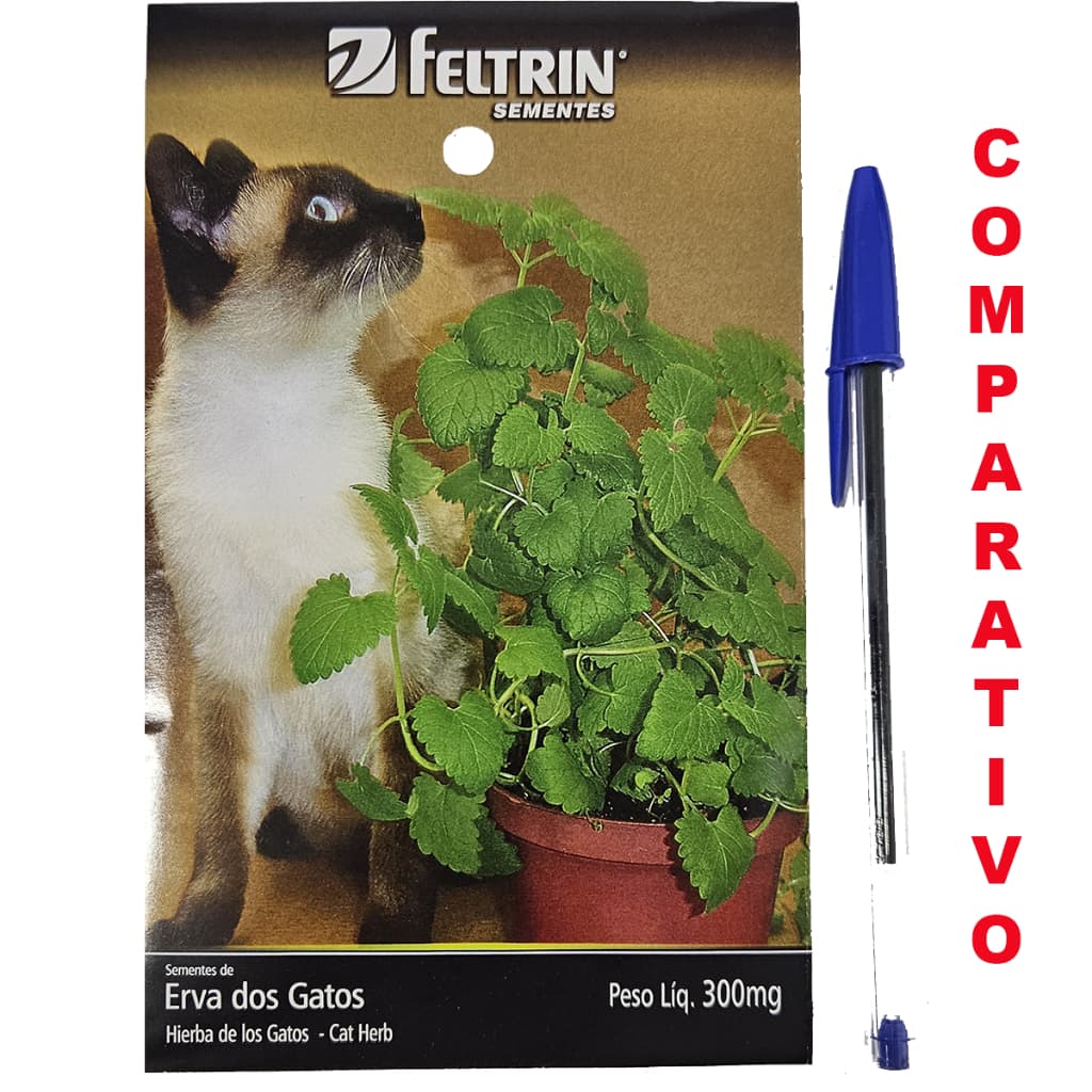 Pacote grande de sementes de erva do gato cat nip catnip