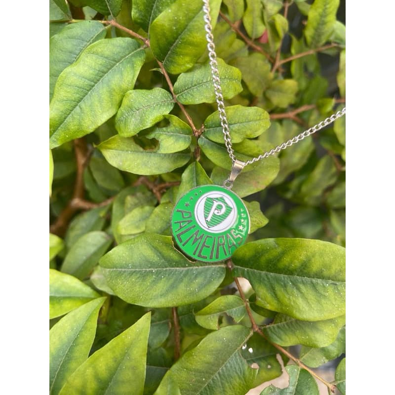 Colar de Time Palmeiras Mancha verde aço inox