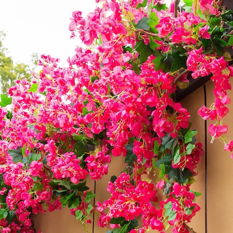 Kit de Flor Bougainville Artificial 100cm, Buquê de Flor Bougainville com 96 Flores Cheias  2 Folhas