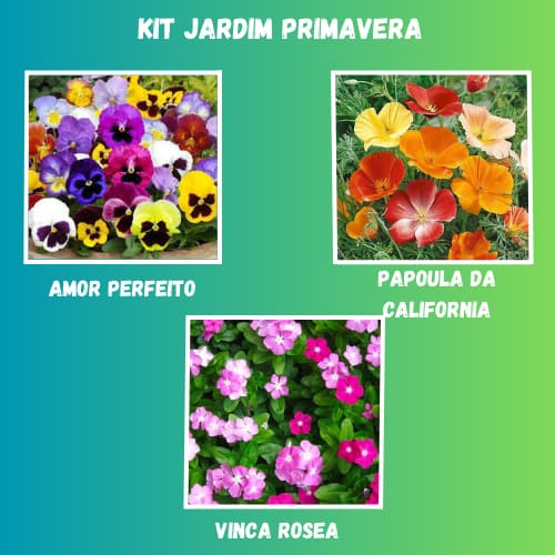 Sementes De Seleção Especial de Flores Exclusivas para Jardins!
