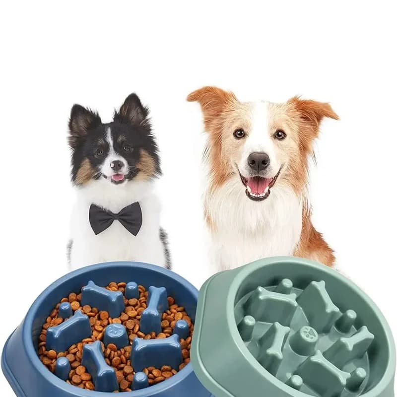 Comedouro Funcional Coma melhor lento labirinto Pet Educacional Interativo Cães (Cores sortidas)
