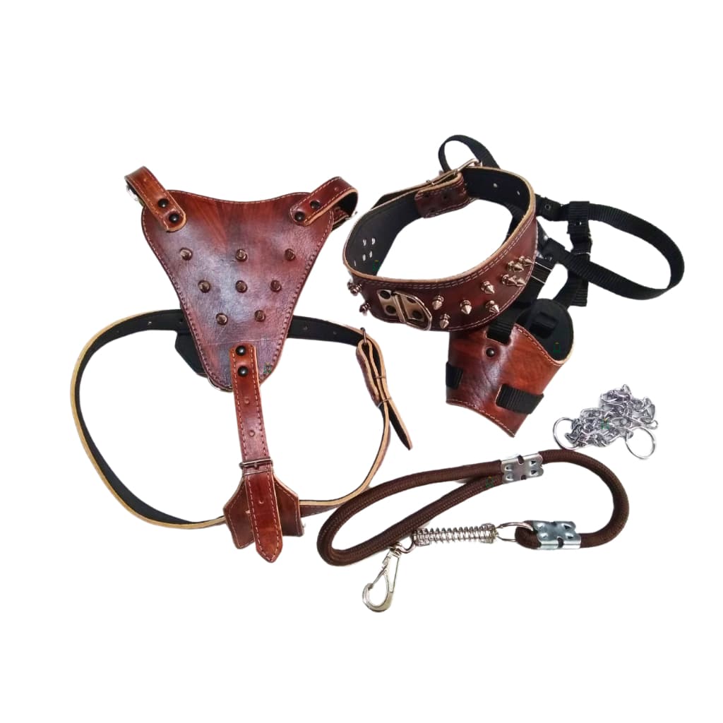coleira peitoral focinheira kit guia corrente couro cachorro forte pitbull