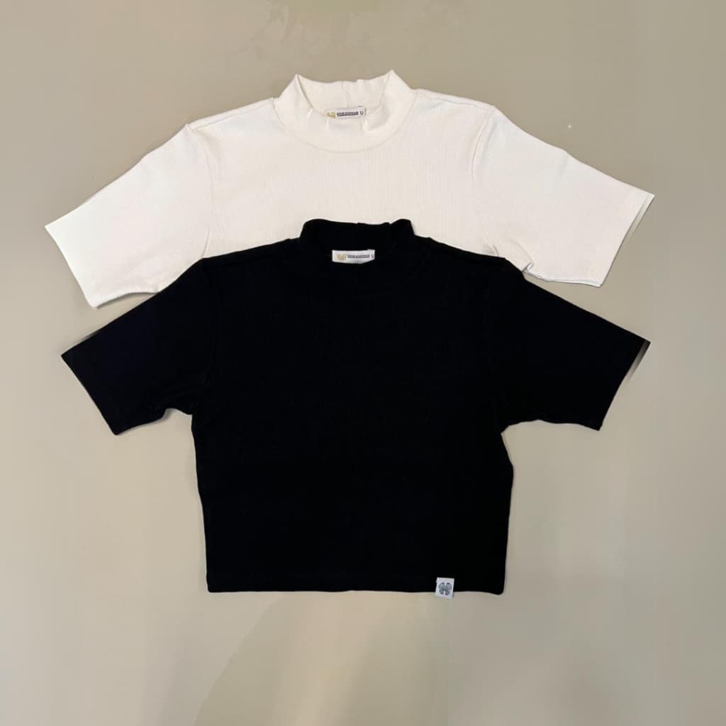 Kit 2 Blusa Feminina Canelado Ribana Gola Alta Manga Curta Verão CORES SORTIDAS