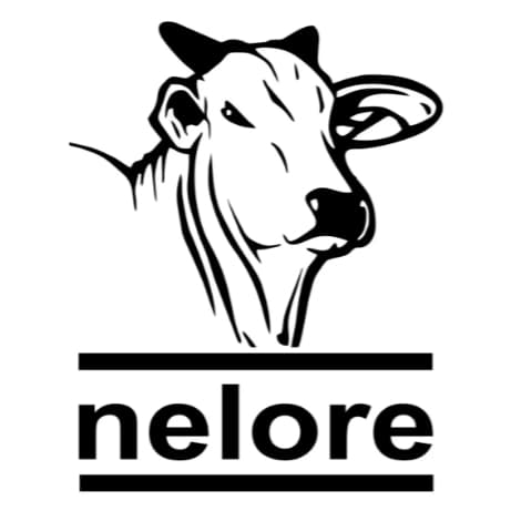 Adesivo Boi Nelore - Roça - Agro - Pecuaria - Boiadera