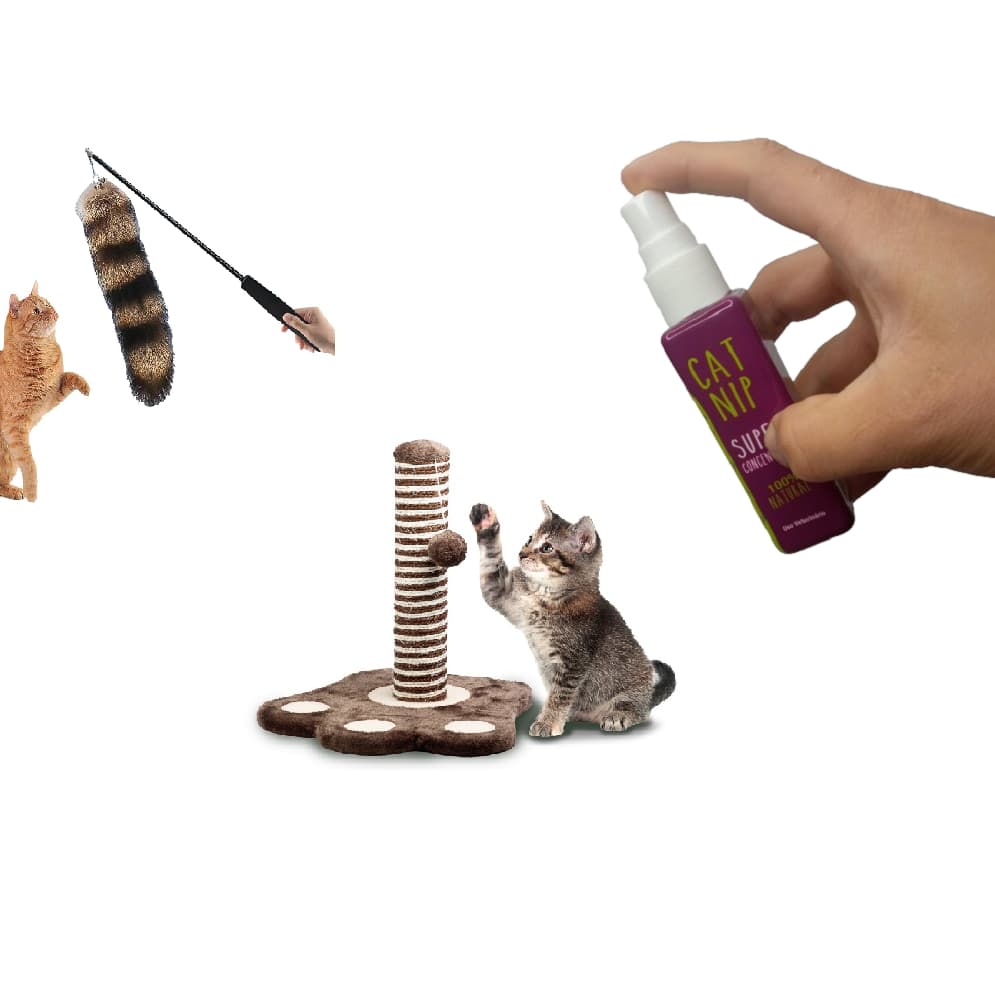 Catnip Spray Erva do Gato Pet Super Concentrado Animalissimo