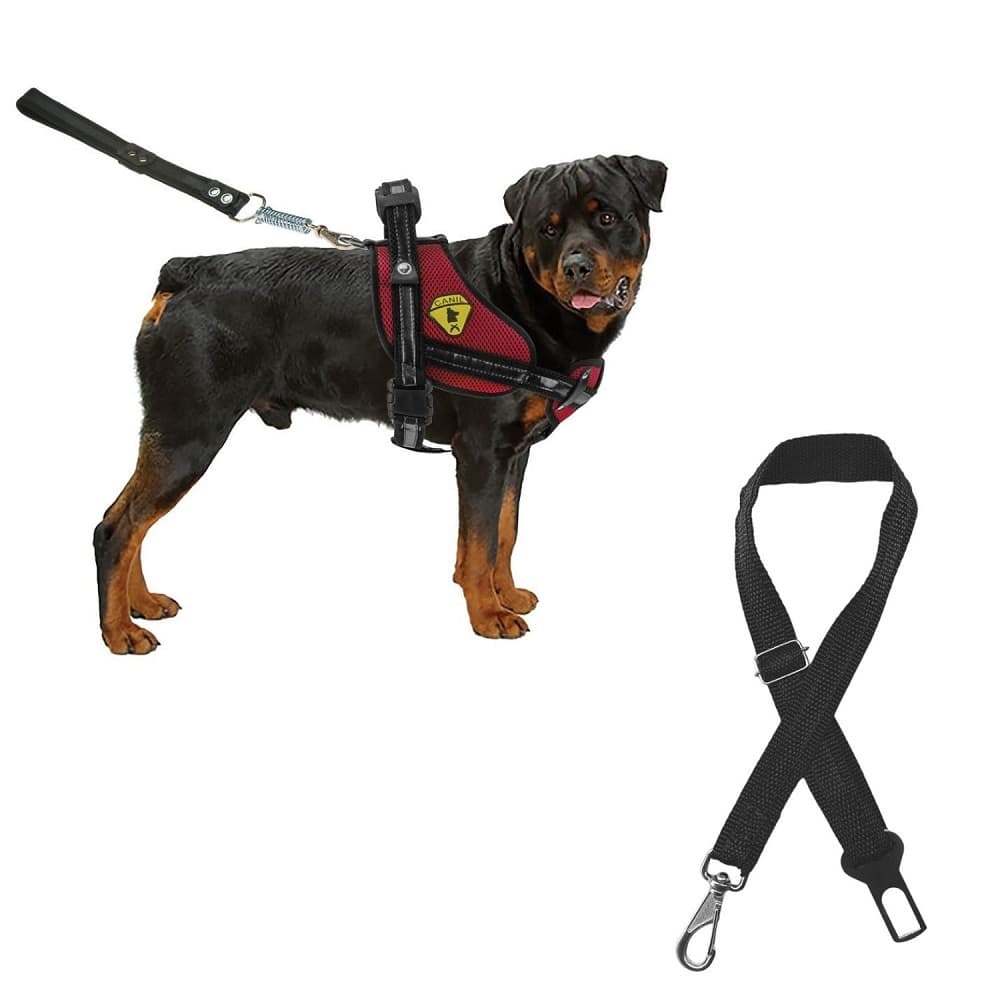 Peitoral Coleira Pet Guia Para Cães Com Cinto De Segurança
