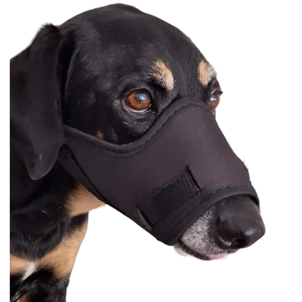 Focinheira Para Cachorro Pequeno Médio Grande Porte Couro Sintético Preto Oferta