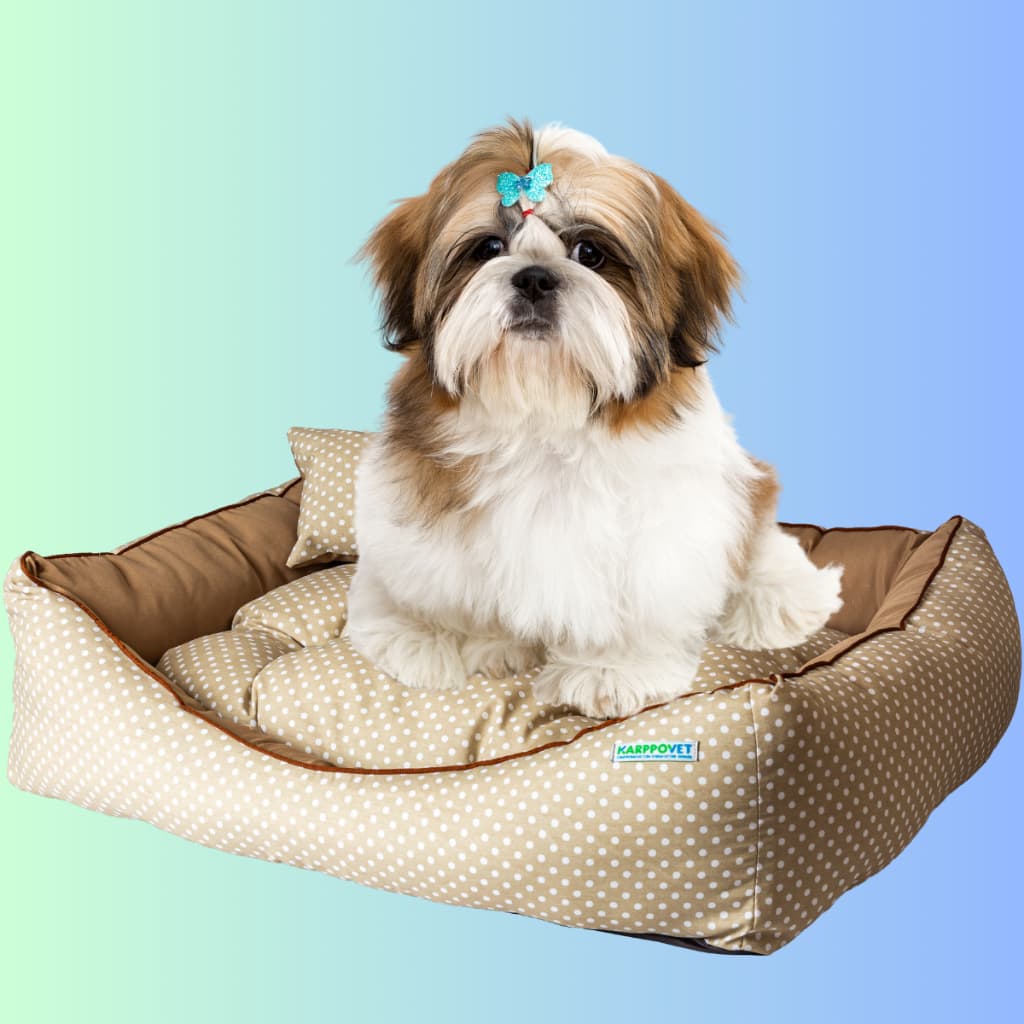 Cama caminha pet cachorro gato luxo, estampa PETIT POÁ tamanho M (60x50x15cm)