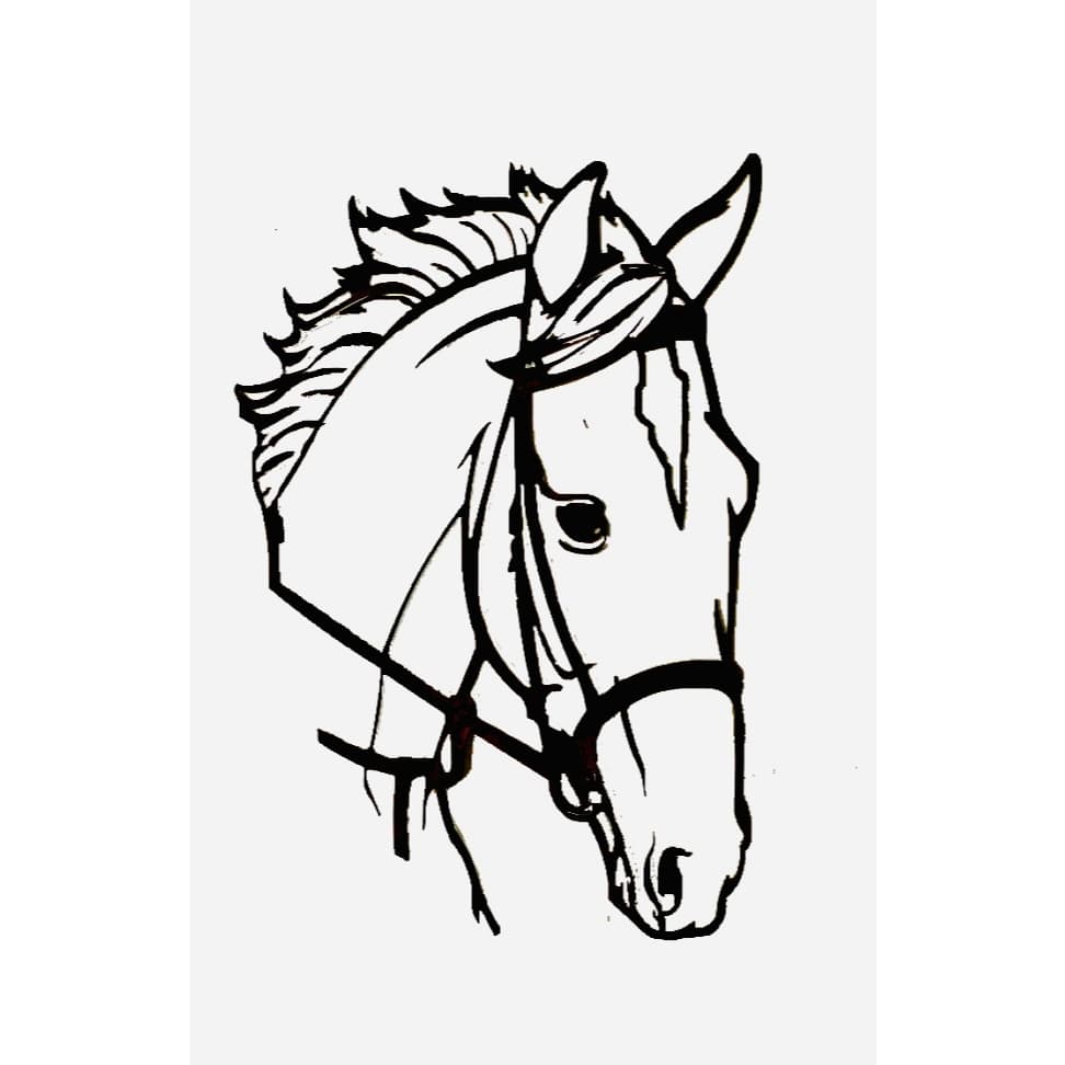 Aplique Cara Cavalo Ferro Para Parede Casa Fazendas Granjas
