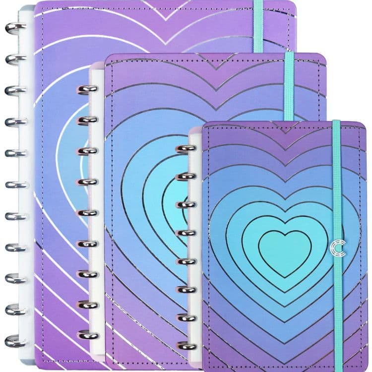 Caderno Silver Love CADERNO INTELIGENTE