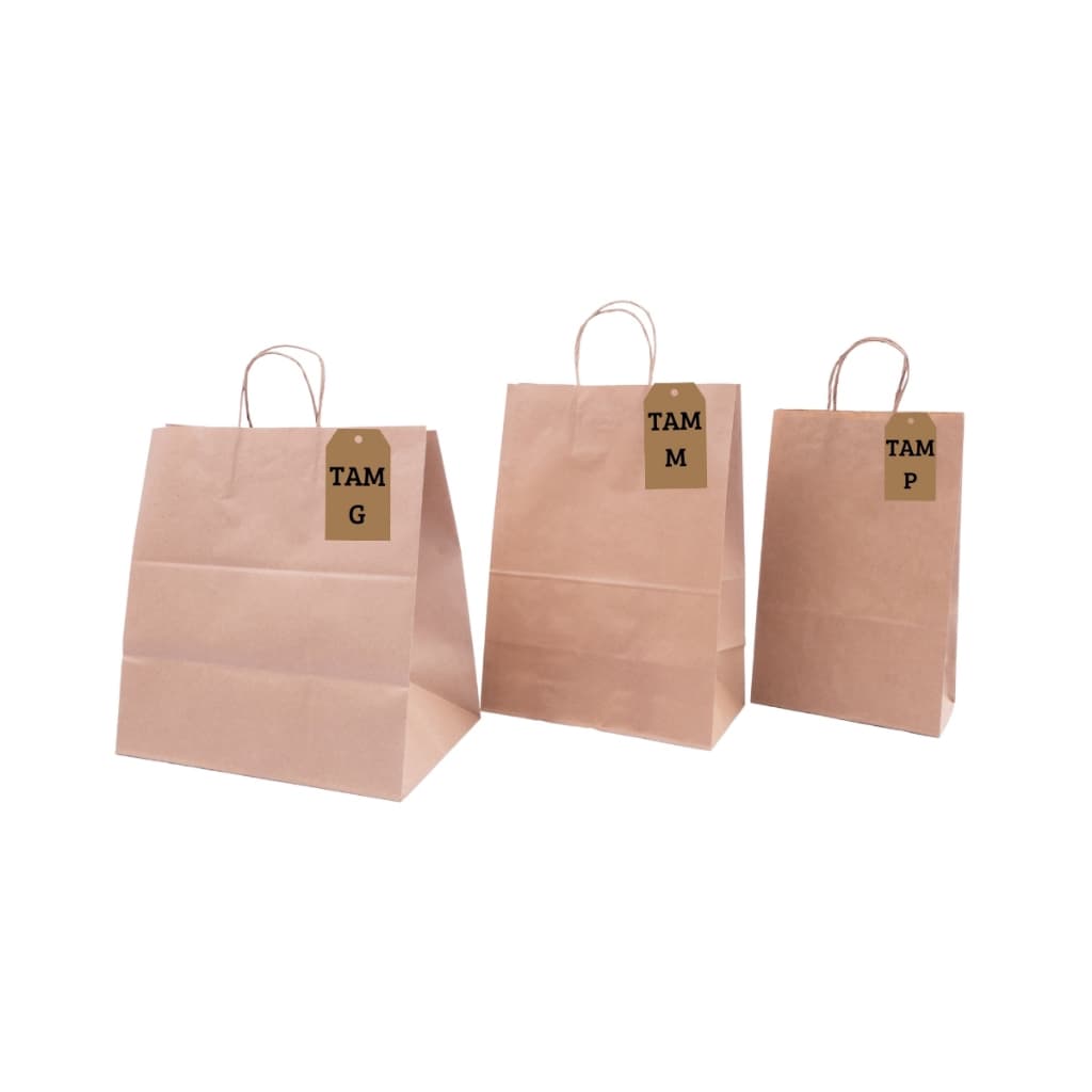 Sacola De Papel 50 UNID Tam P M ou G Kraft Lisa Na Cor Pardo -  Para Presente, Delivery Food com Alça