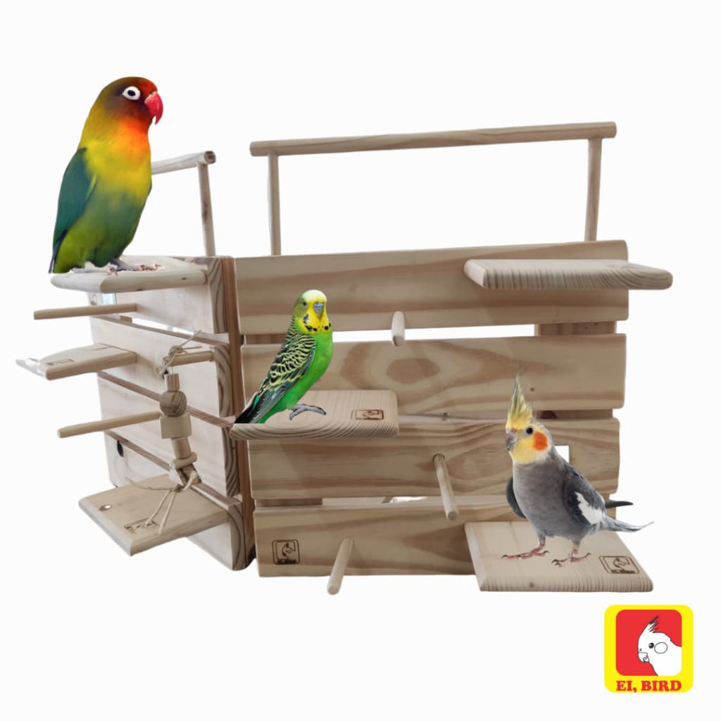 Playground de Parede e Mesa Portátil Starter para Calopsita, Agapornis, Rosela, Periquito, Ring Neck