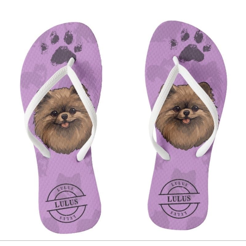 Chinelo Lulu da Pomerania Mãe de Pet Cachorrinho