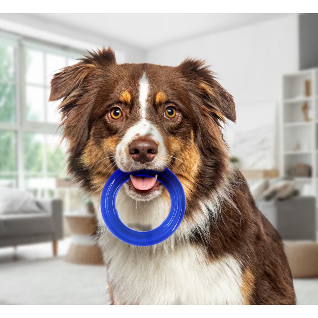 Brinquedo Pet Aro Anel Mordedor Maciço Resistente para Cachorro Porte Médio Atóxico