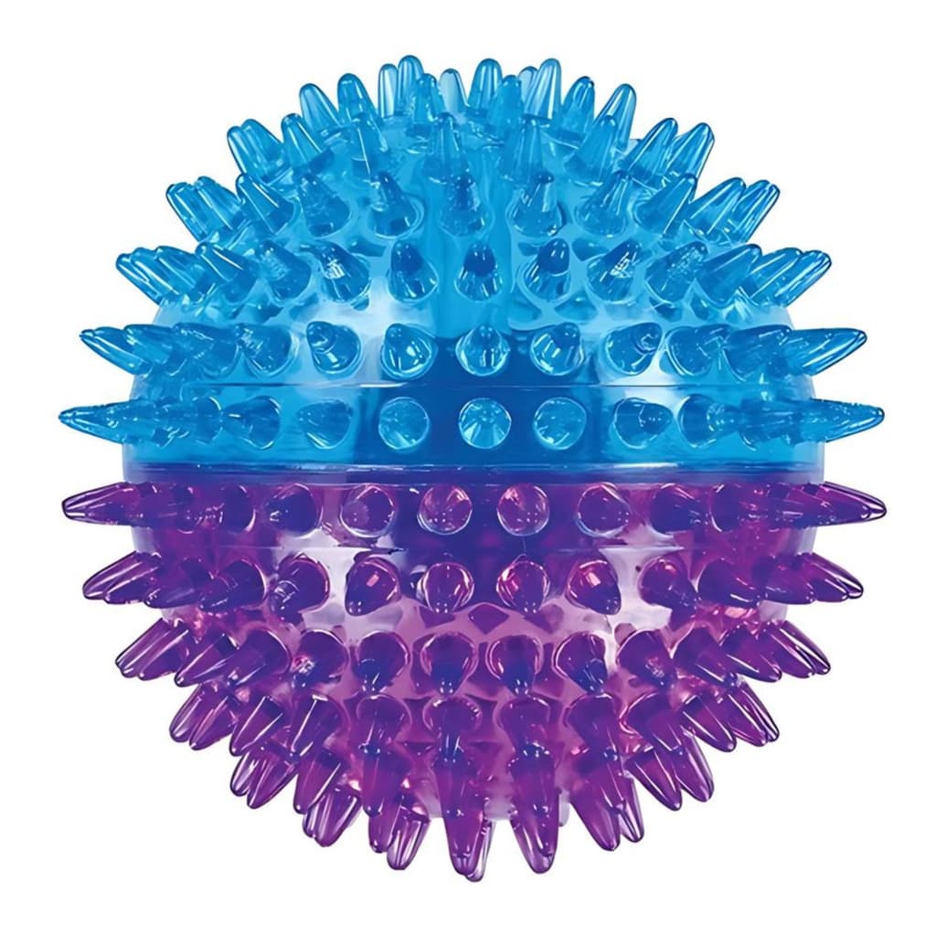 Brinquedo Bolinha Grande Interativa Resistente com Apito para Cães - Jambo Pet Cor Azul e Roxa
