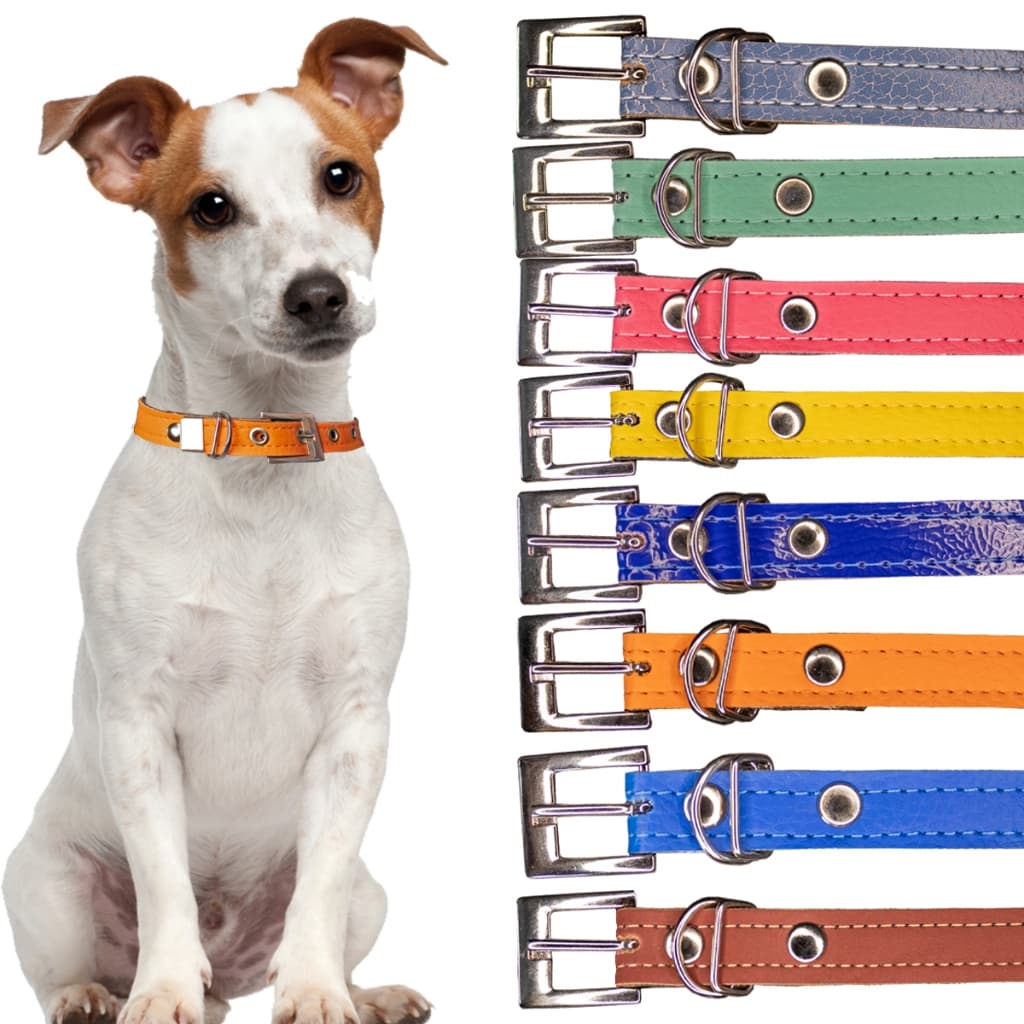 Coleira para Cachorro Couro Sintético Pet Cachorro Grande e pequeno