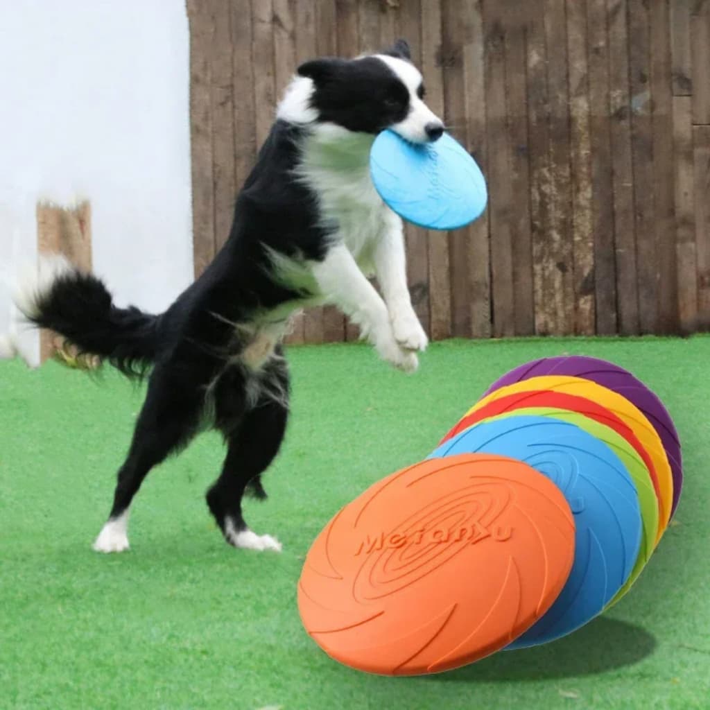 Frisbee Silicone Brinquedo Pet Resistente Maleável Disco Treinamento Interativo