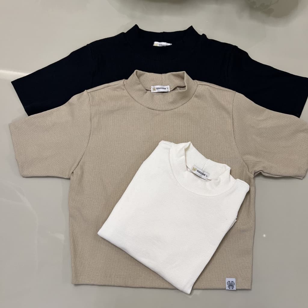 Kit 3 Camiseta Feminina Gola Alta Canelada Malha Ribana Básica Dia a Dia CORES SORTIDAS