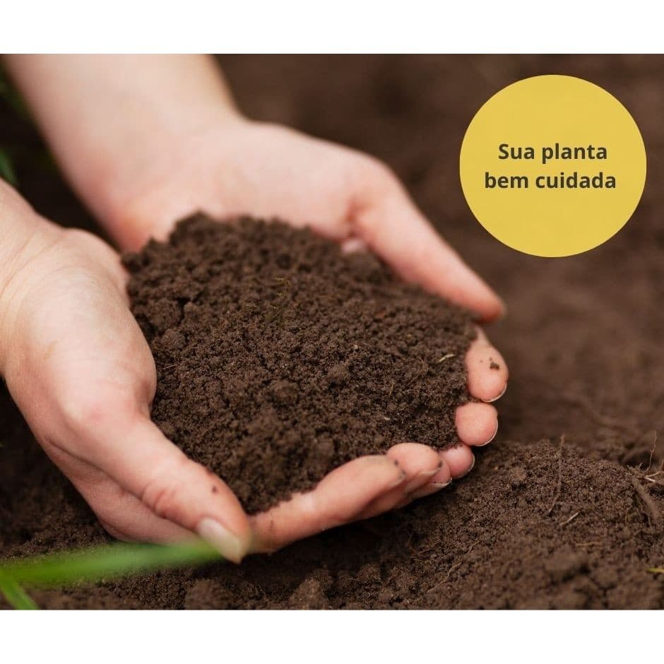 Terra Vegetal Adubada 10 kilos