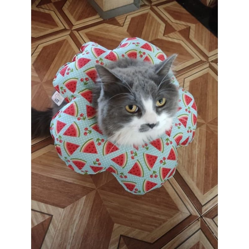 Colar elizabetano de tecido para gatos (FLOR)