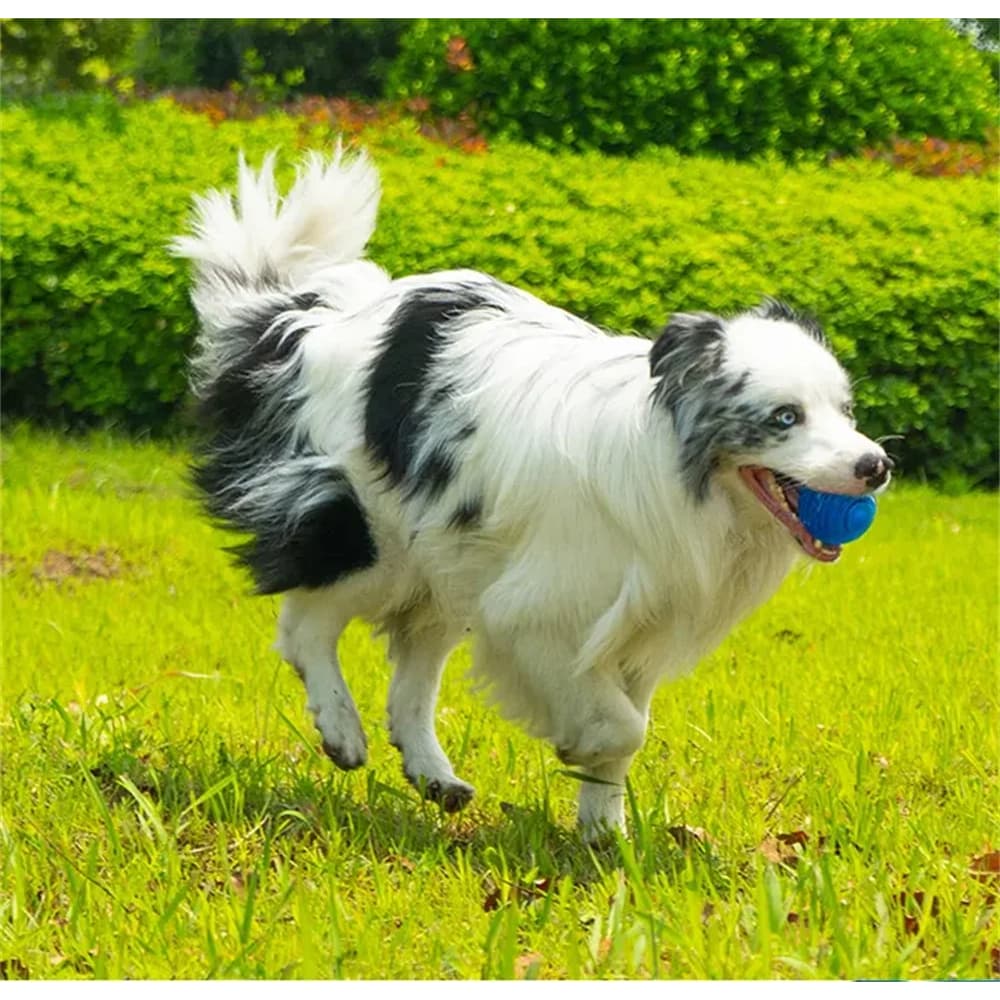 Bola Interativa Para Cães Brinquedo Pequeno e Médio Mordedor Para Aliviar o Tédio Resistente Petisco