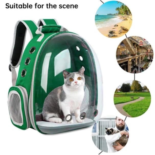 Bolsa Mochila Pet Cães E Gatos Visão Panorâmica Em Acrílico