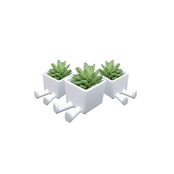 Kit 3 Vasinhos para Suculentas e Cactos Lindo Para Decoração do Seu Lar.
