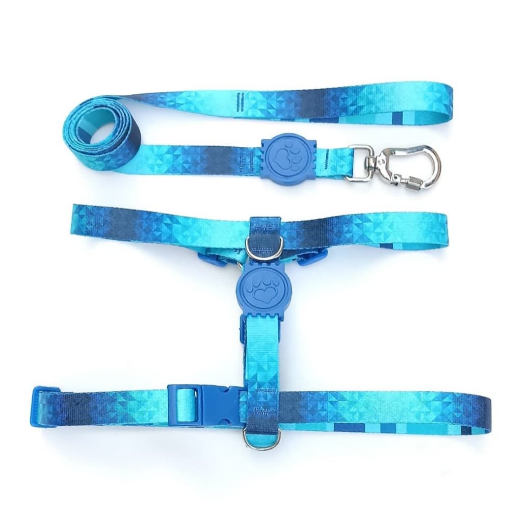 Peitoral H Anti-puxão azul celeste para cachorro