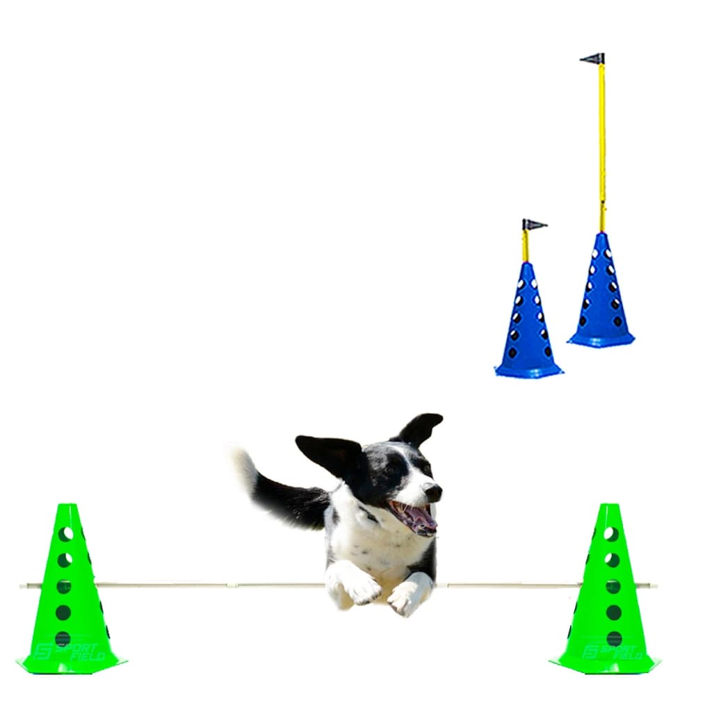 Circuito Para Pets C/ 4 Cones Furados 2 Barreiras de Salto - Adestramento de Cães e Gatos