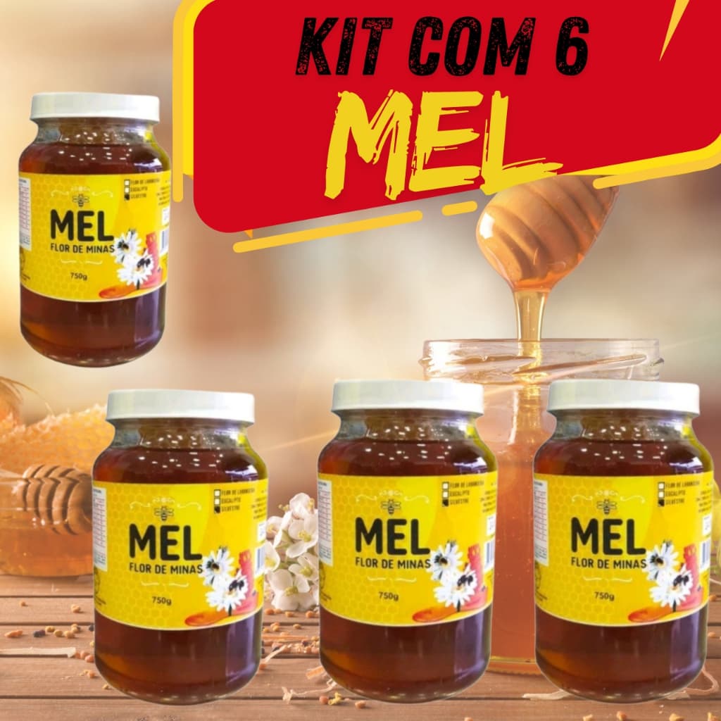 kit 6 Mel de Vidro Com Favo De Abelha 750G Silvestre Flor De Minas Natural Doce Medicamentos Revenda