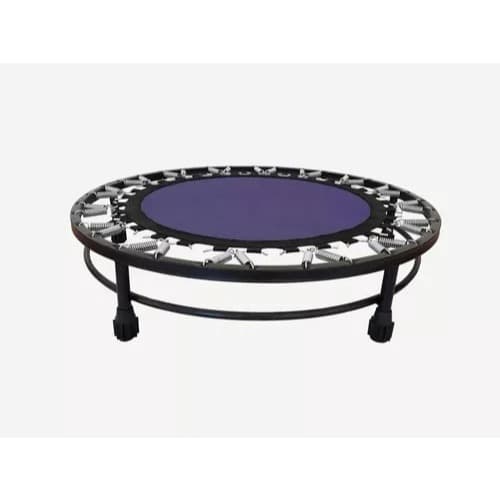 Jump Profissional Com Aro De Reforço ROXO
