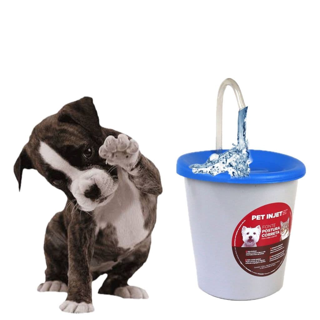 Fonte De Água Postura Correta Azul para Cachorro e Gatos