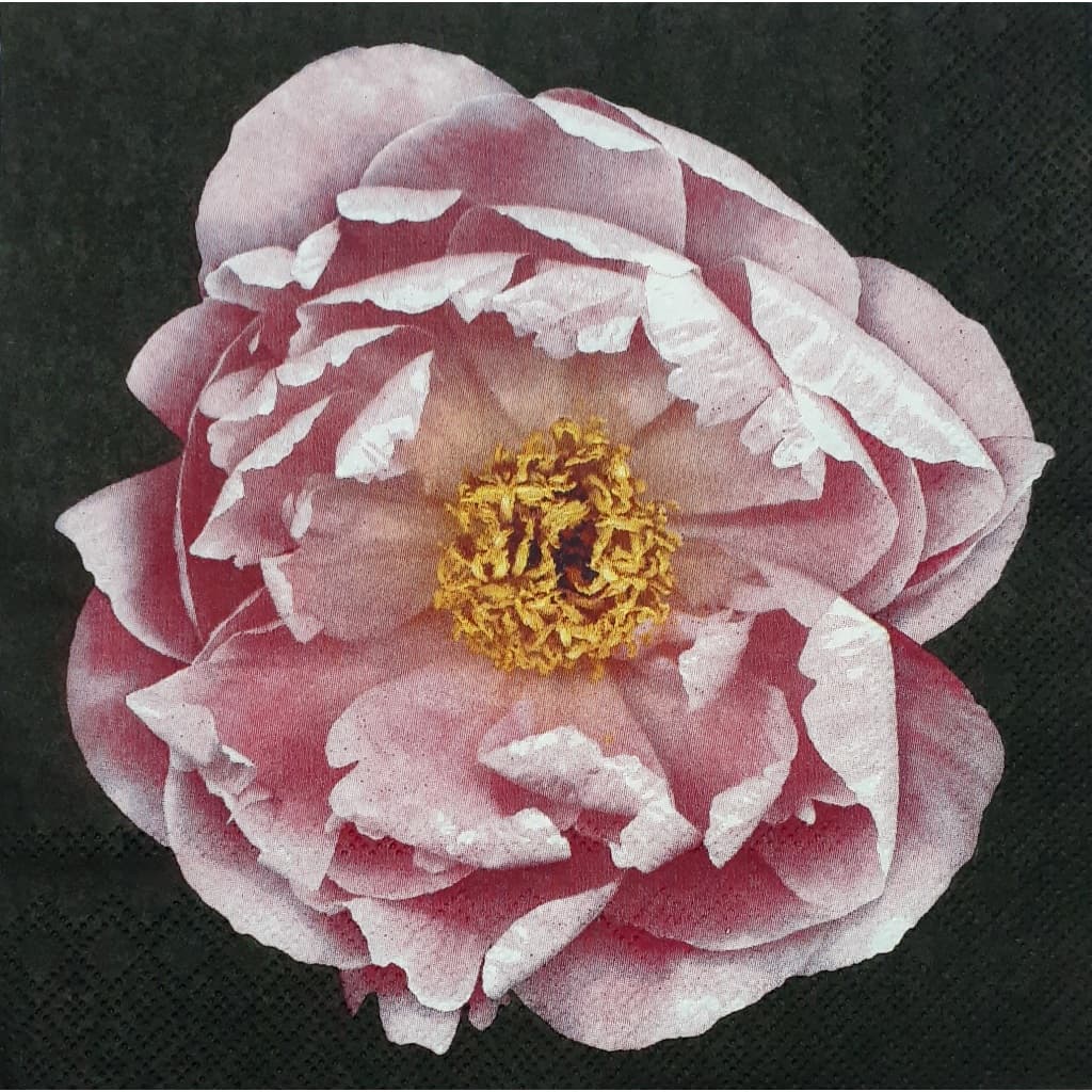 Guardanapo de Papel para Decoupage Flores - 419, 428, 446, 441, 444, 456, 483, 493, 494