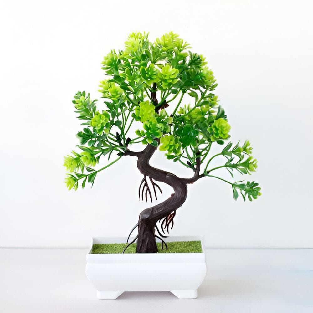 Planta pequena vaso para decoração de mesa Bonsai