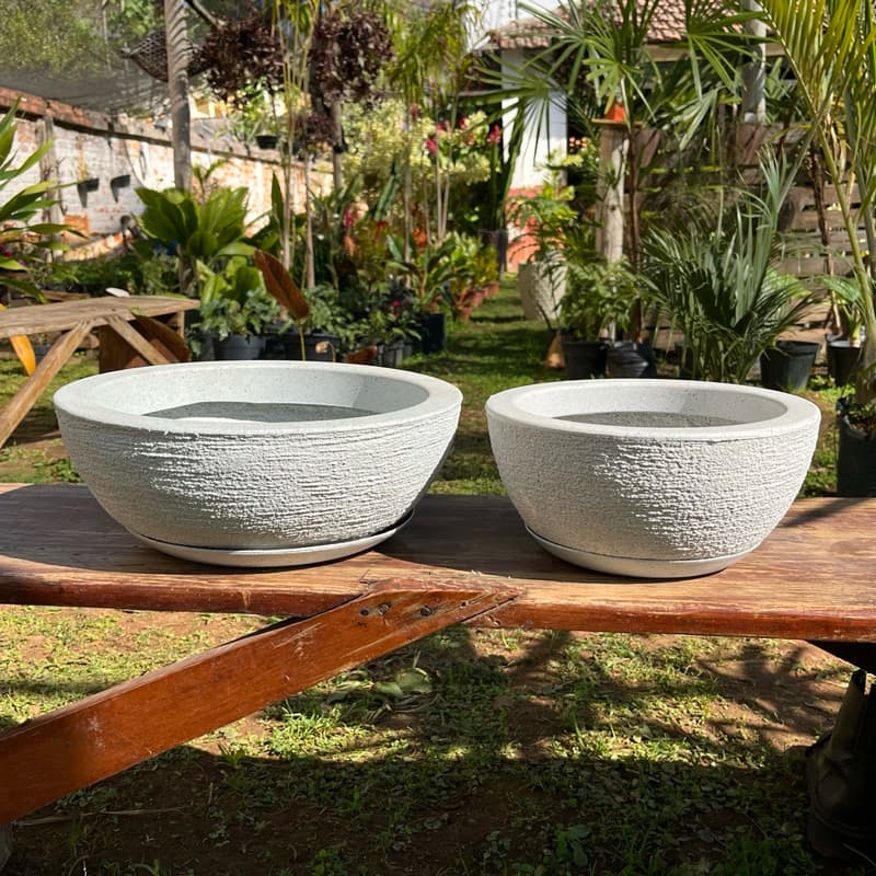 Kit 2 Vasos Bacias Polietileno para Plantas Cactos e Suculentas Decorativos com Prato Coletor N1 N2