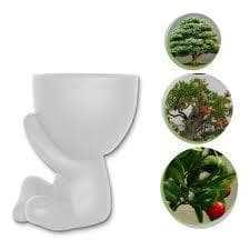 Vasinhos Suculentas Alt 6cm Robert Bob Planta Decoração