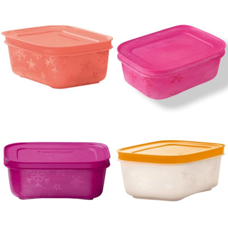 Tupperware Freezer Line vários tamanhos