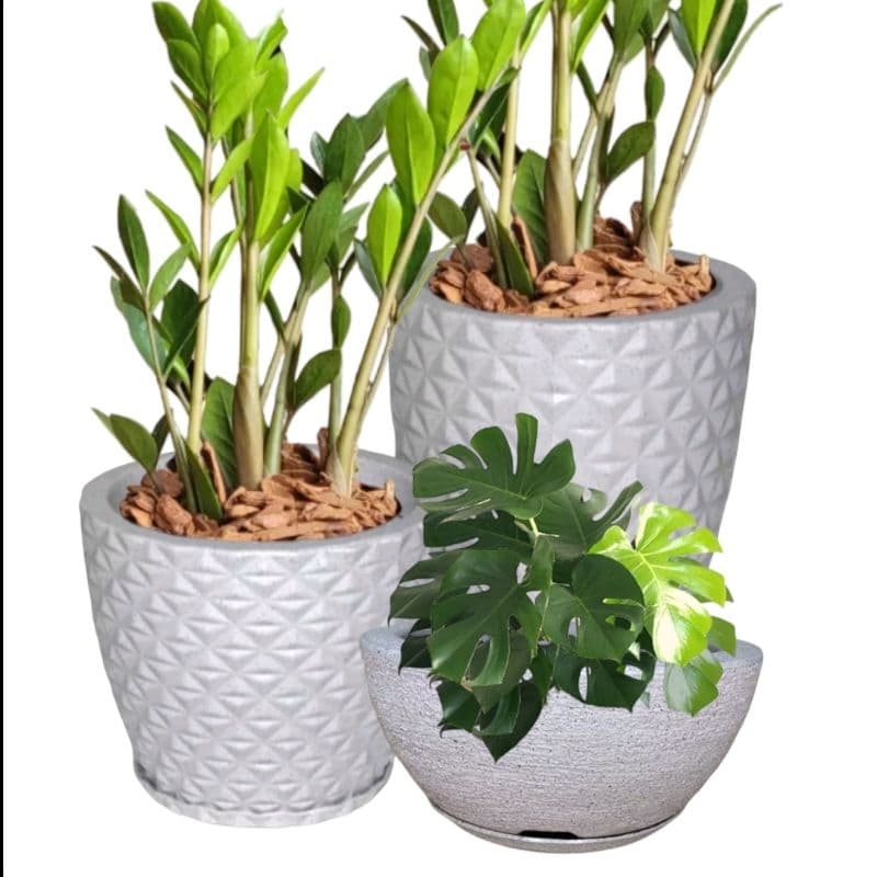 Kit 3 Vasos Polietileno para Plantas Decorativo Coluna Bojo, Diamante  e Bacia escovada  com prato.