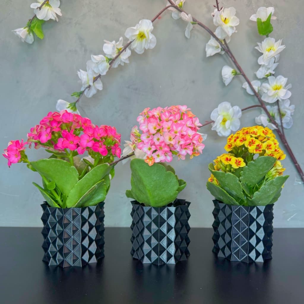 Kit de 3 Vasos Pretos Decorativos Cachepot p/ Jardim Sala Suculentas Plantas e Cactos