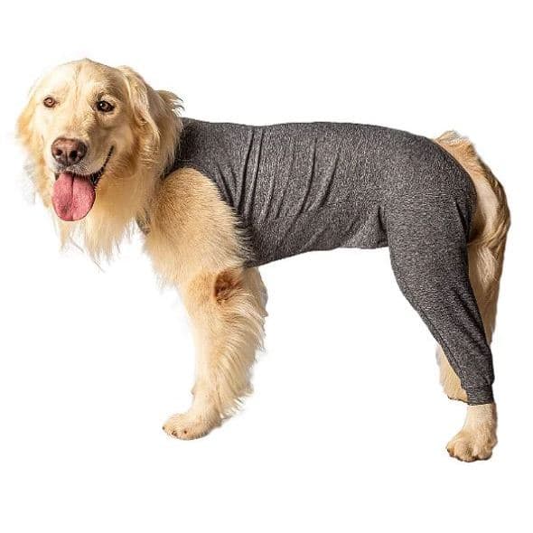 Roupa Protetora de Membros Posteriores para Cachorros do 0 ao 07