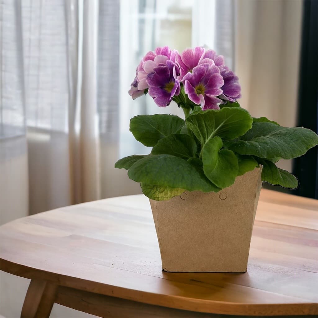 Cachepot Papel - Centro de Mesa Decoração Lembrancinhas