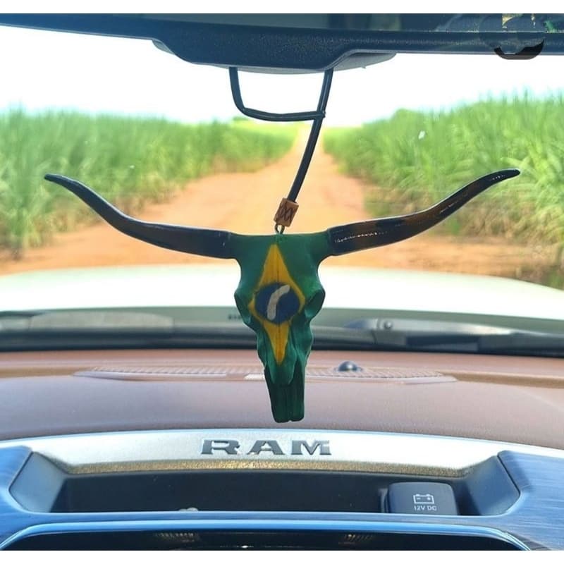 Pingente Retrovisor de Carro