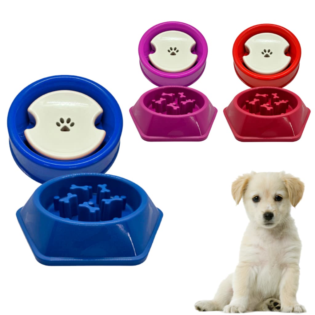 Kit comedouro lento + bebedouro pelos secos cães pequeno e médio porte