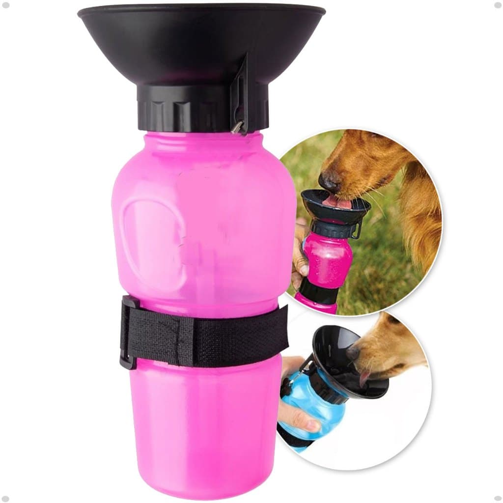 Garrafa Bebedouro Squeeze Cães E Gatos Azul Rosa Cachorro