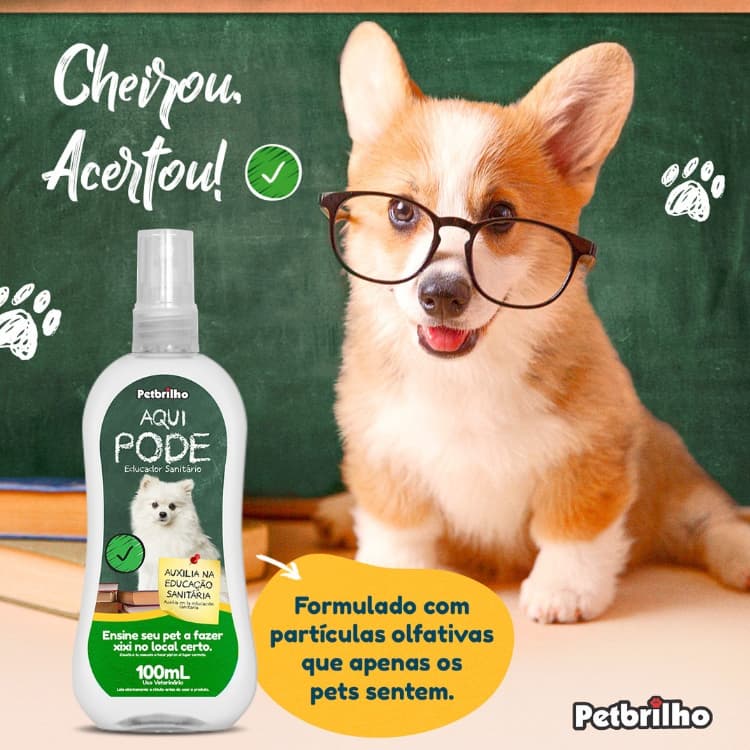 Educador Sanitário Aqui Pode Petbrilho 100 ml