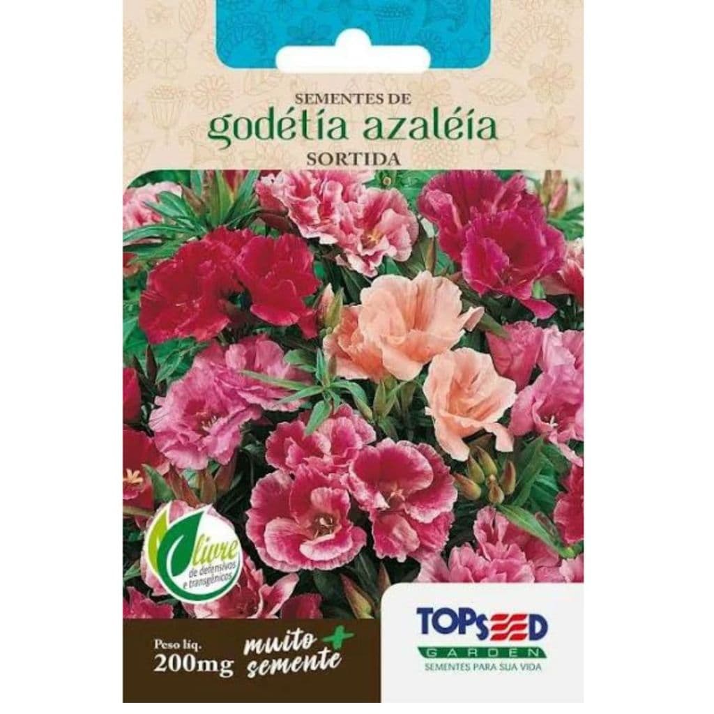 180 SEMENTES DE AZALEIA - GODÉTIA AZALÉIA - FLOR AZALEIA SORTIDA (10045)