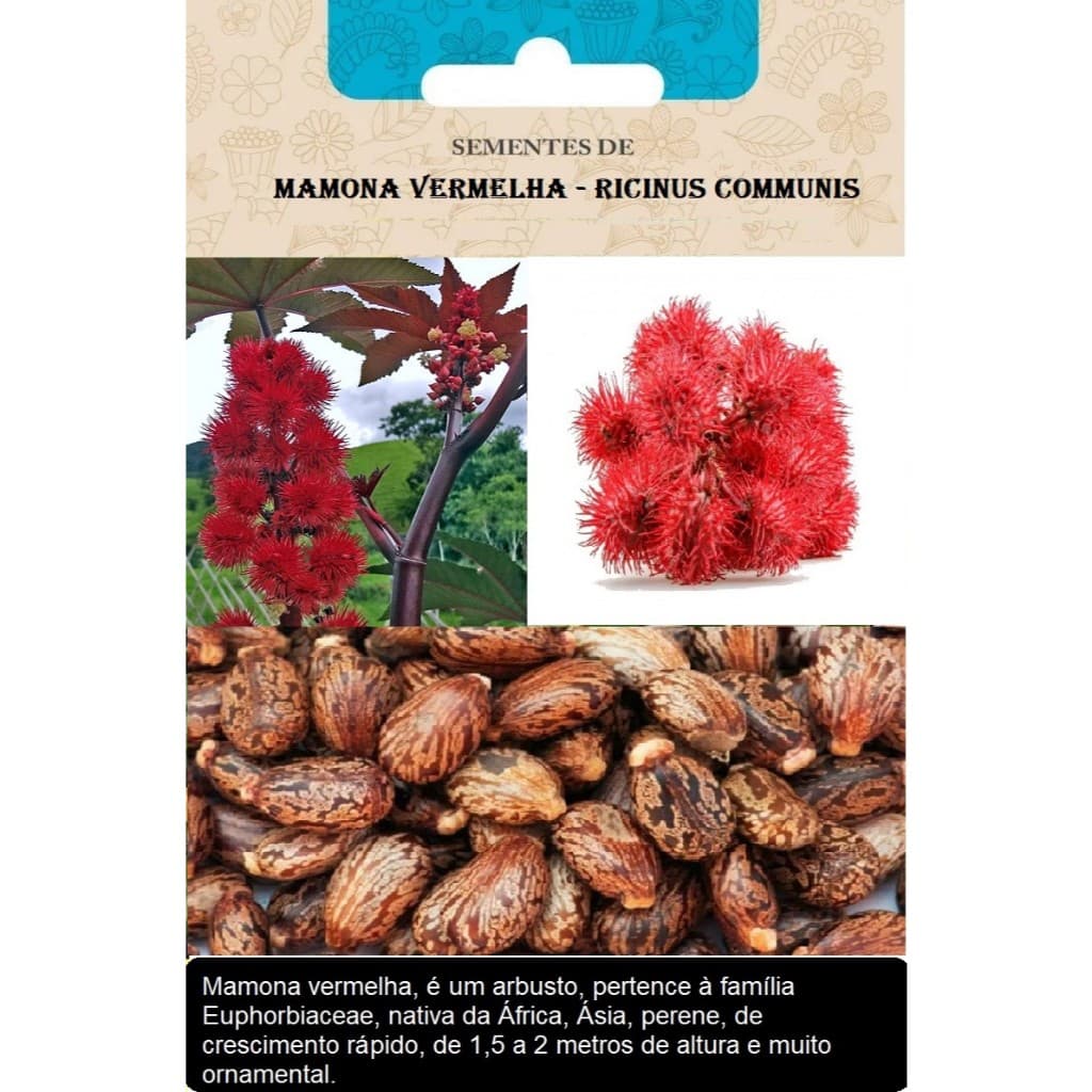 Sementes Mamona Vermelha Red Ricinus Communis Ornamental
